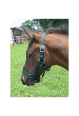 CAVALIER CUSHION WEB FOAL HALTER - 341006-10