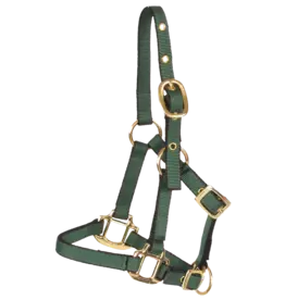 Burwash - Miniature Horse Halter - Full Size - Black - TBWHMIMHF 1-BK