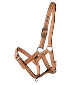 Country Legend Cushion Web Halter Adjustable  - Foal - Navy - 298101-21/F