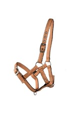 Country Legend Cushion Web Halter Adjustable  - Foal - Black - 298101-27/F