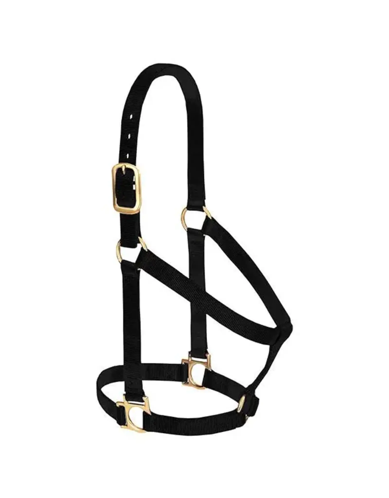 Basic Non-Adjustable Halter  1" - Small - 35-7404-BK