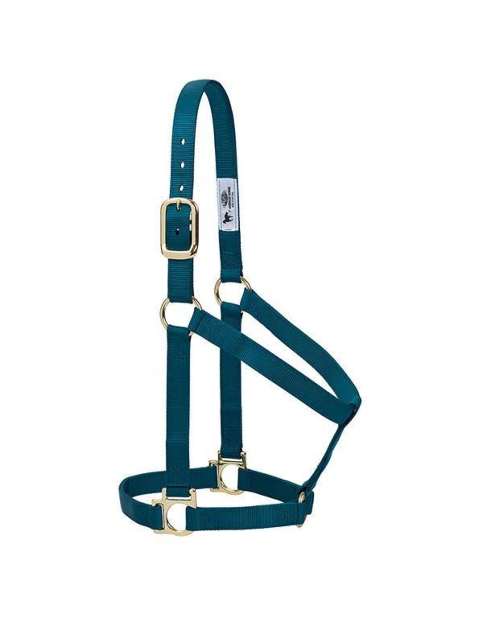 Basic Non-Adjustable Halter - Average - Teal -  35-7405-49