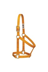 Basic Non-Adjustable Halter 1" - Large - 35-7406-185 Mustard