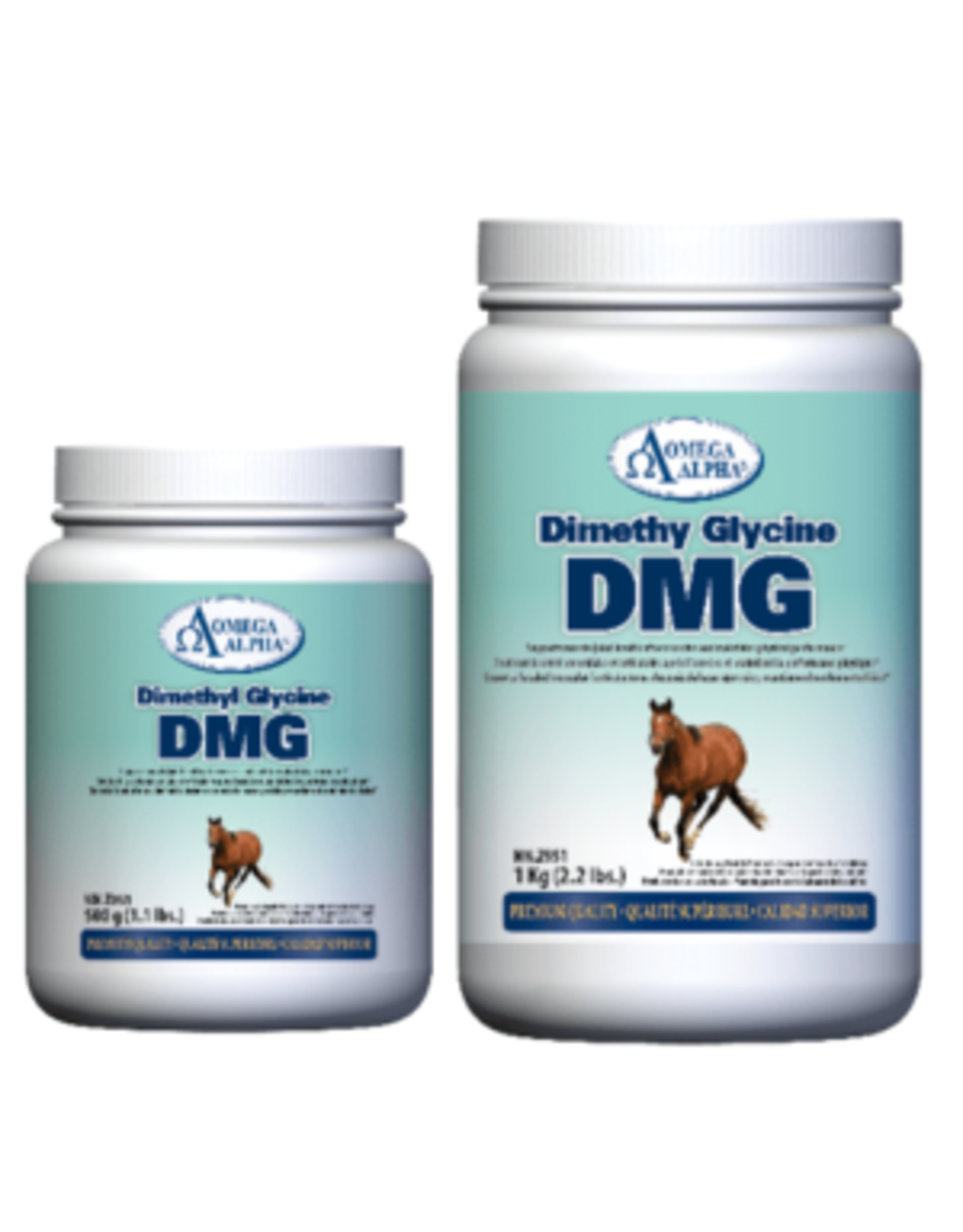 Omega Alpha Dimethyl Glycine (DMG) - 500g *Special Order