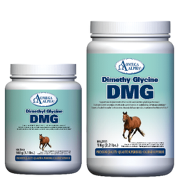 Omega Alpha Dimethyl Glycine (DMG) - 500g