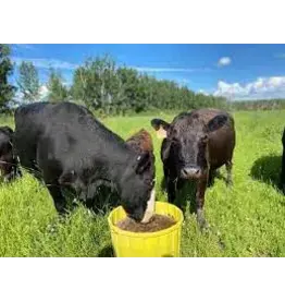 MooGoo 20% Protein Molasses Tub 100kg -  Beef  - B990020T *Back Ordered JA25