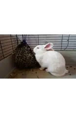 Critter Net 1" HD