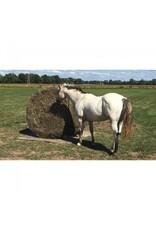Tough 1 - 6ft x 6ft Round Bale Net - TJT72-6615 B/O Mar5
