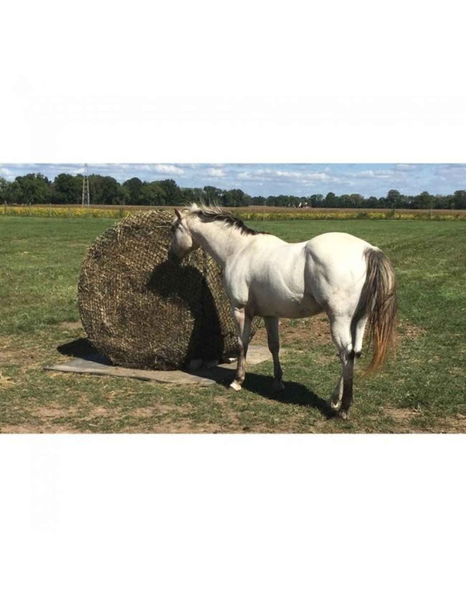 Tough 1 - 6ft x 6ft Round Bale Net - TJT72-6615 B/O Mar5