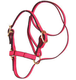 Burwash Web Sheep Halter w/Lead - Large - Black - TBWHHBA-BK