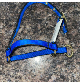 Burwash Web Sheep Halter w/Lead - Royal Blue - TBWHHBA-RY
