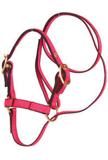 Burwash Web Sheep Halter w/Lead  - Teal - TBWHHBA-TE