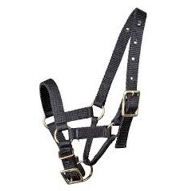 Hamilton Alpaca Halter - Avg - Black - 723015-27