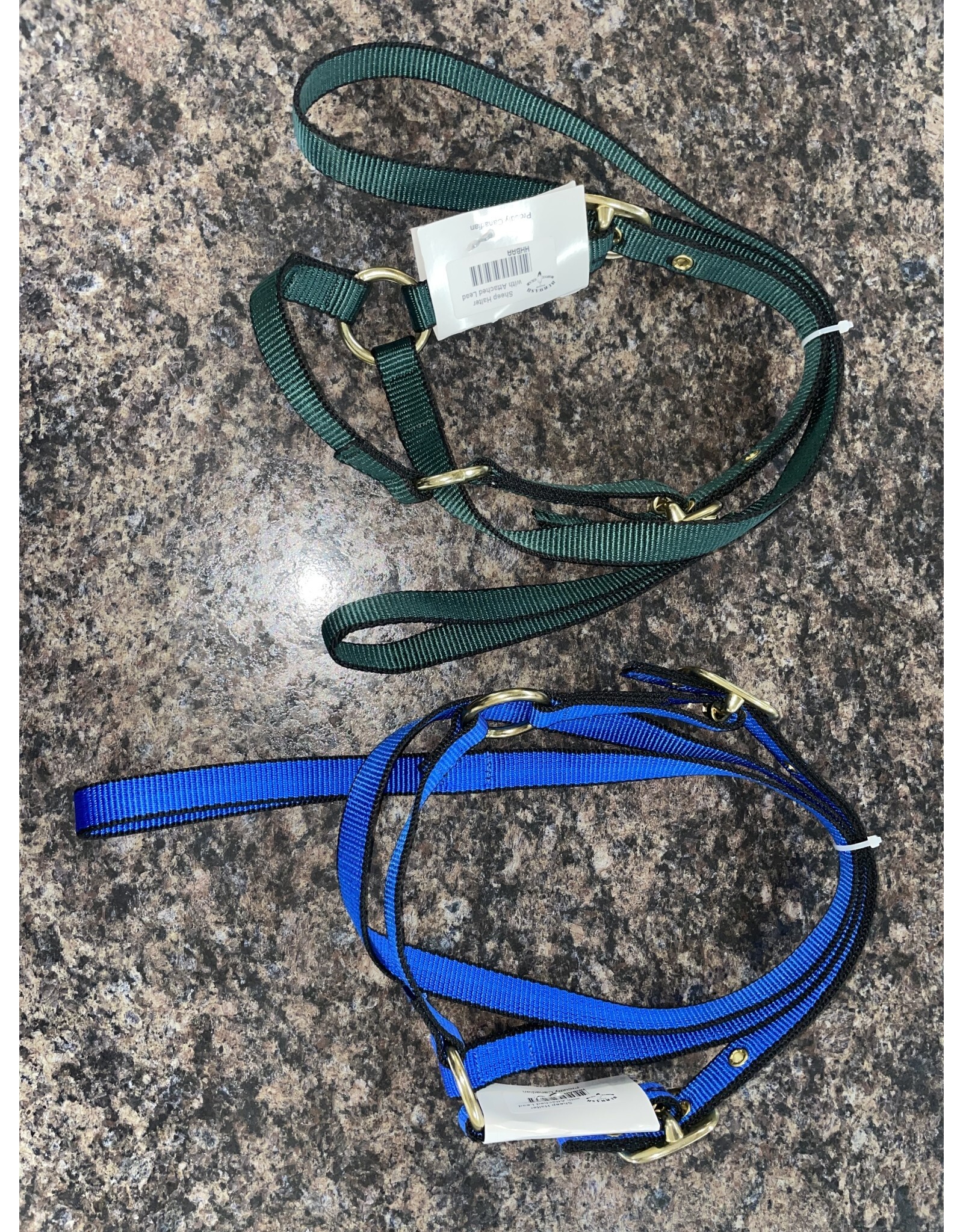 Burwash Web Sheep Halter w/Lead - Royal Blue - TBWHHBA-RY