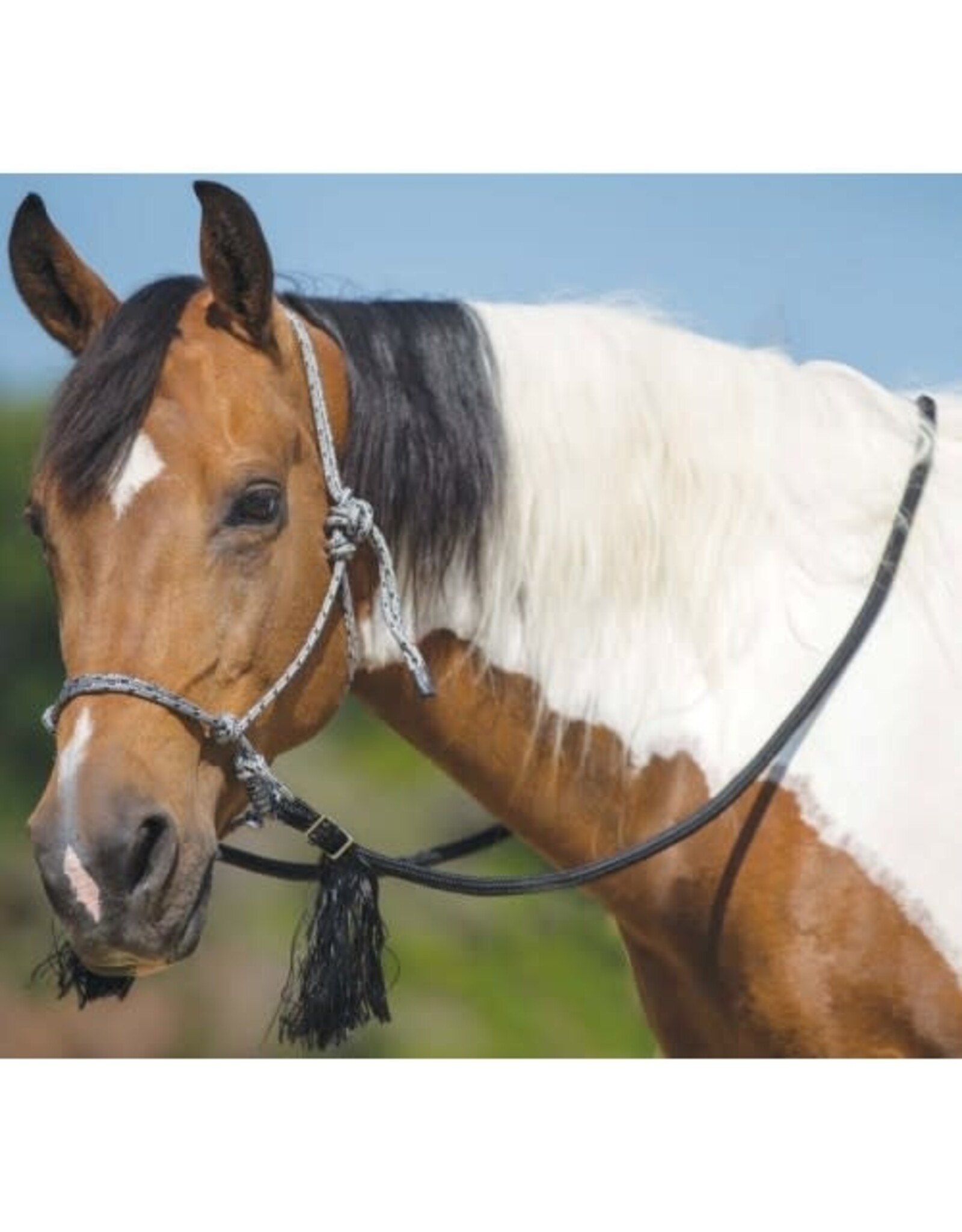 MUSTANG DELUXE BITLESS BRIDLE - 202225-81
