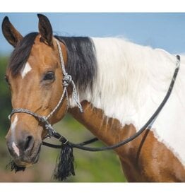 MUSTANG DELUXE BITLESS BRIDLE - 202225-81
