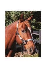 WESTERN RAWHIDE SIGNATURE PATTERN HALTER WITH ANTIQUE SILVER FINISH HARDWARE, NO SNAP - ARROW PTRN - AVG- 292864-27/AVG