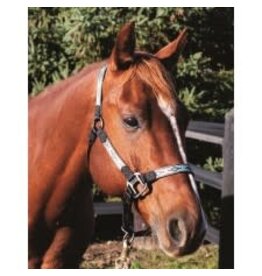 WESTERN RAWHIDE SIGNATURE PATTERN HALTER WITH ANTIQUE SILVER FINISH HARDWARE, NO SNAP - ARROW PTRN - AVG- 292864-27/AVG