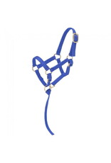 Tough 1 - Mini Nylon Halter - Royal Blue - TJT50-702 L RY