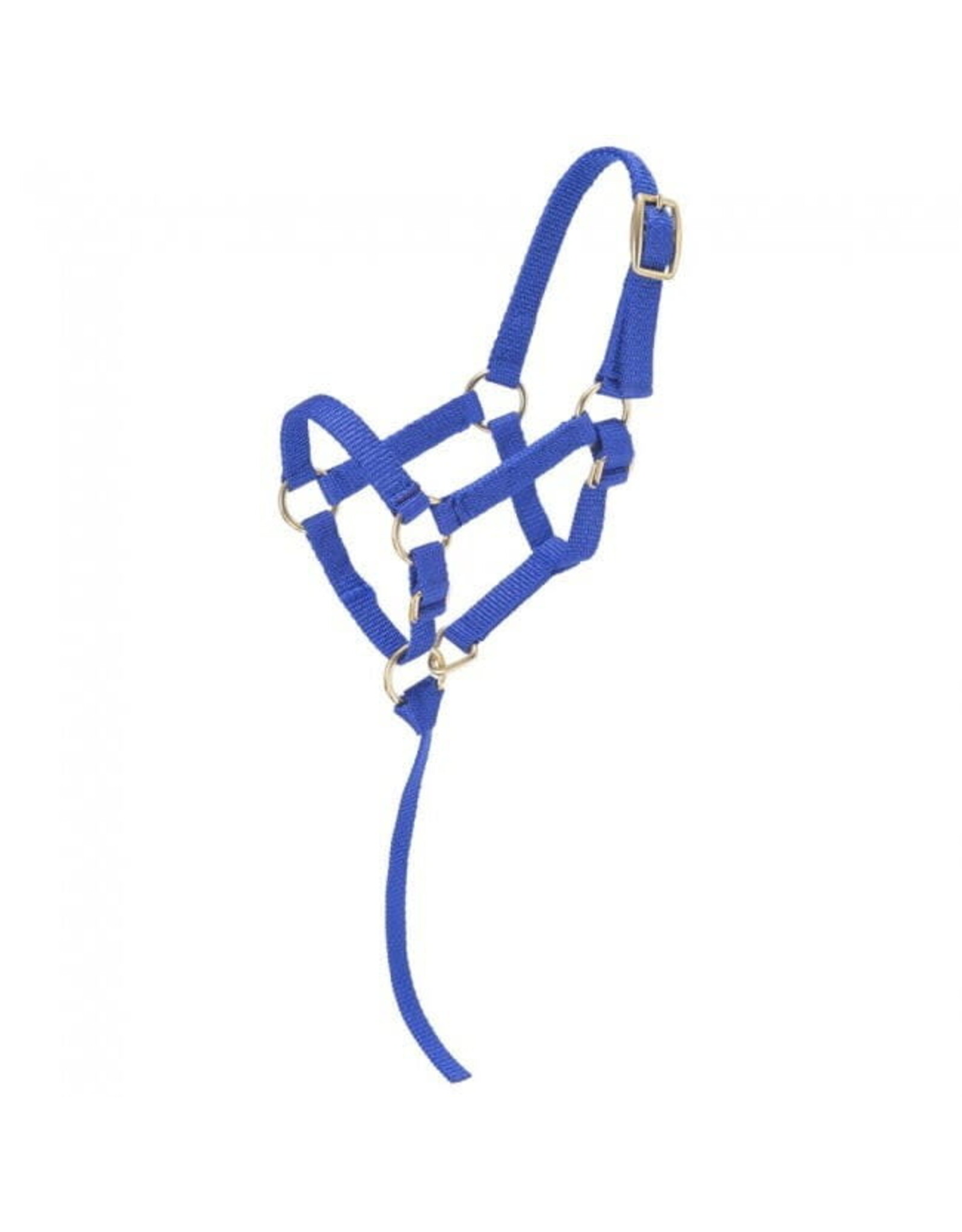 Tough 1 - Mini Nylon Halter - Royal Blue - TJT50-702 L RY