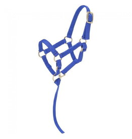 Tough 1 - Mini Nylon Halter - Royal Blue - TJT50-702 L RY