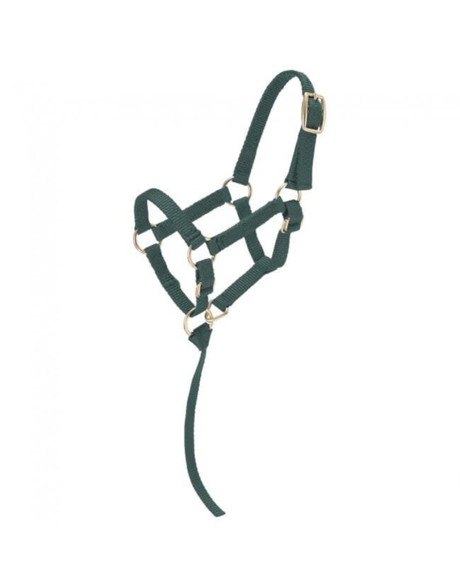 Tough 1 - Mini Nylon Halter - Hunter Green - TJT50-702 L HG