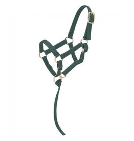 Tough 1 - Mini Nylon Halter - Hunter Green - TJT50-702 L HG