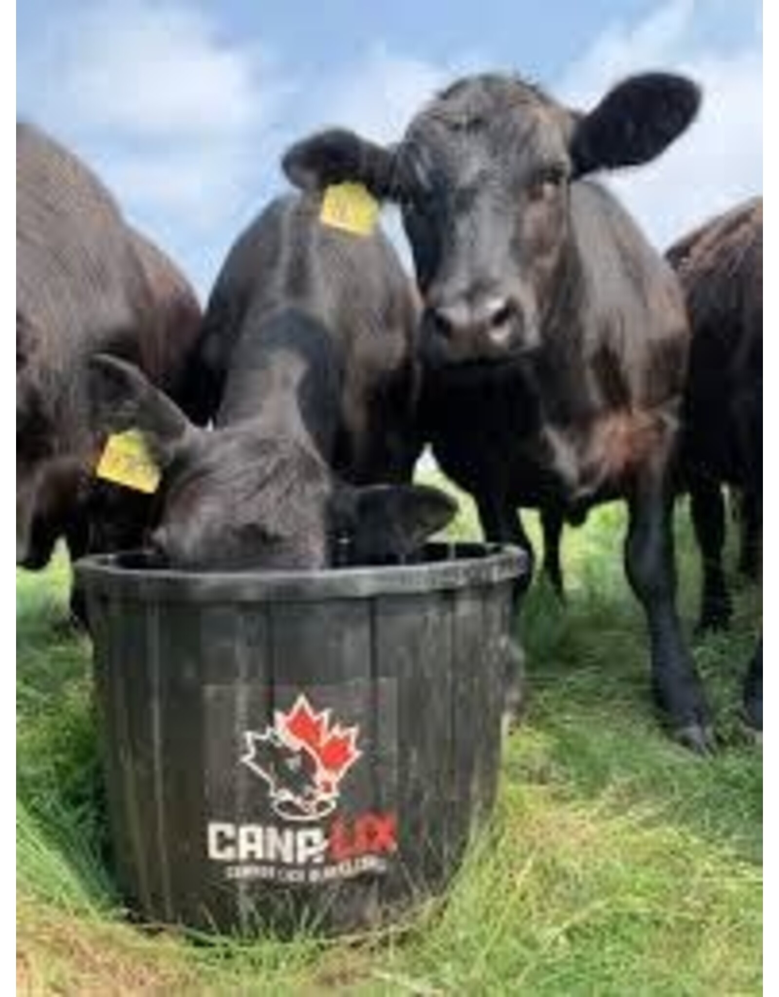 CANA LIX Cana-Lix Beef MAX 18% Breeder Tub Chelated 200lb - No Urea - CP 18% , Fiber 1.6%, Fat 3.10%, Vit A 500,000, Vit D 37,600, Vit E 2323 - (229)