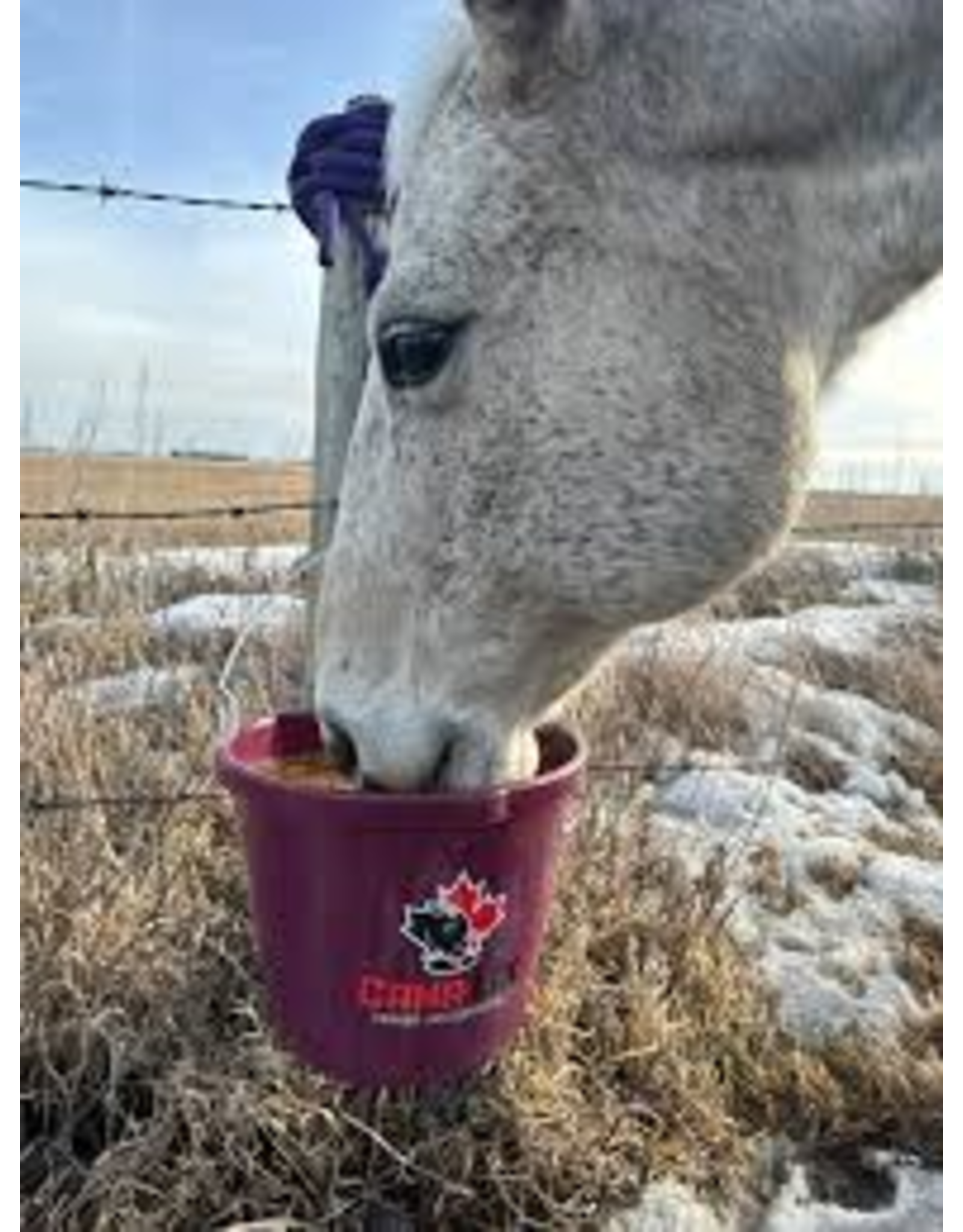 CANA LIX Cana-Lix Horse 15% Lick Mineral Tub - Pail 40lb (228-40) CP 15%, Fat 5.10%, Fiber 1.5%, Vit A 31,000, Vit D 15,000, Vit 300