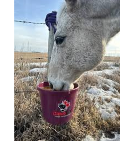 CANA LIX Cana-Lix Horse 15% Lick Mineral Tub - Pail 40lb (228-40) CP 15%, Fat 5.10%, Fiber 1.5%, Vit A 31,000, Vit D 15,000, Vit 300