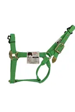 Hi-Brow Flat Nylon Horse Halter -  Neon Green  - THB505H-NG