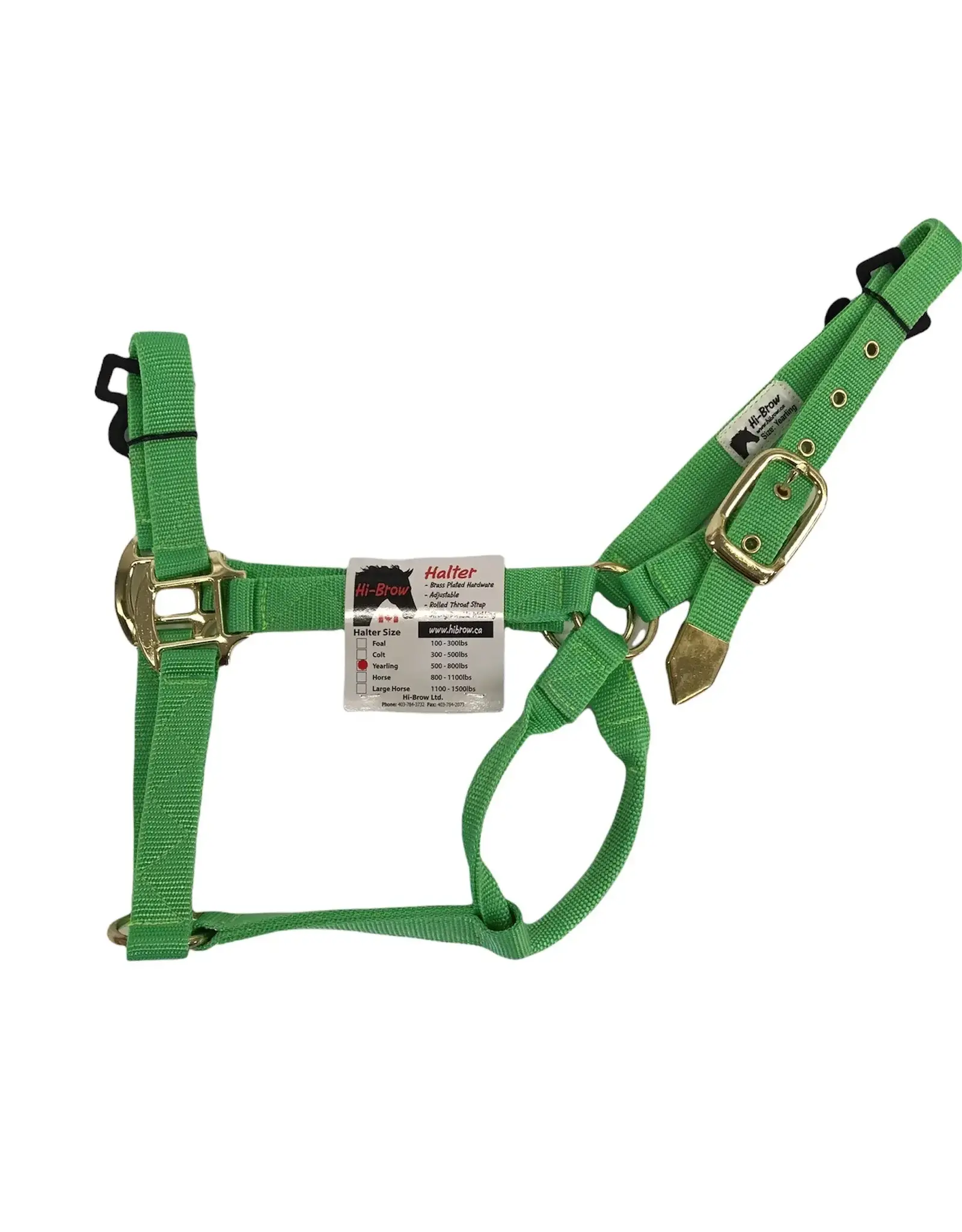 Hi-Brow Flat Nylon Horse Halter -  Neon Green  - THB505H-NG