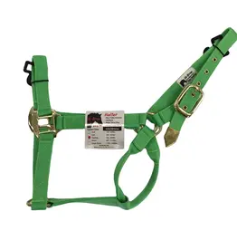 Hi-Brow Flat Nylon Horse Halter -  Neon Green  - THB505H-NG