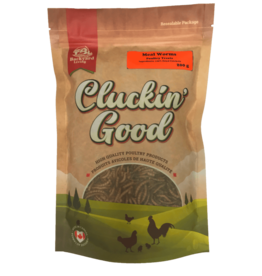 Cluckin Good Meal Worms Poultry Treats 750g