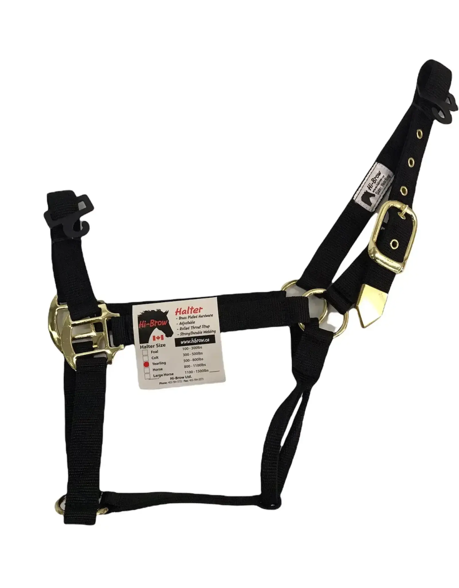 Hi-Brow Halter - Flat Nylon Horse Halter -  Brown - THB505H-BR