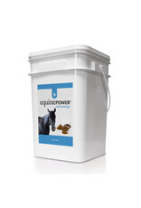 Equine Power 2000 10kg -NSC 13% - CP 19.1%, Fat 28.2%,  Fiber 16.1% - Moisture Content 8%  - Low NSC , Weight Gain