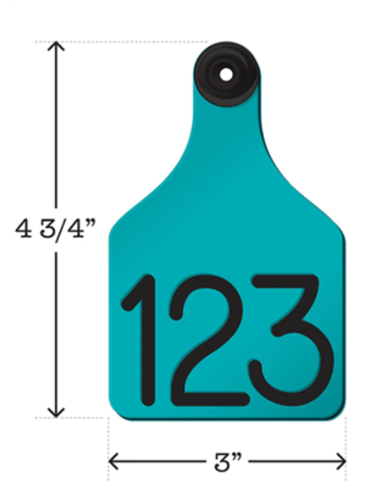 TAG* Ritchey Universal Large Turquoise/Black With Buttons - 04115
