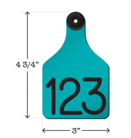 TAG* Ritchey Universal Large Turquoise/Black With Buttons - 04115