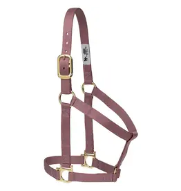 Basic Non-Adjustable Halter - Average - Mauve -35-7405-510