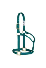 Basic Non-Adjustable Halter1" - Small - 35-7404-49 - Teal Green