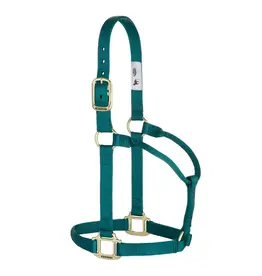 Basic Non-Adjustable Halter1" - Small - 35-7404-49 - Teal Green