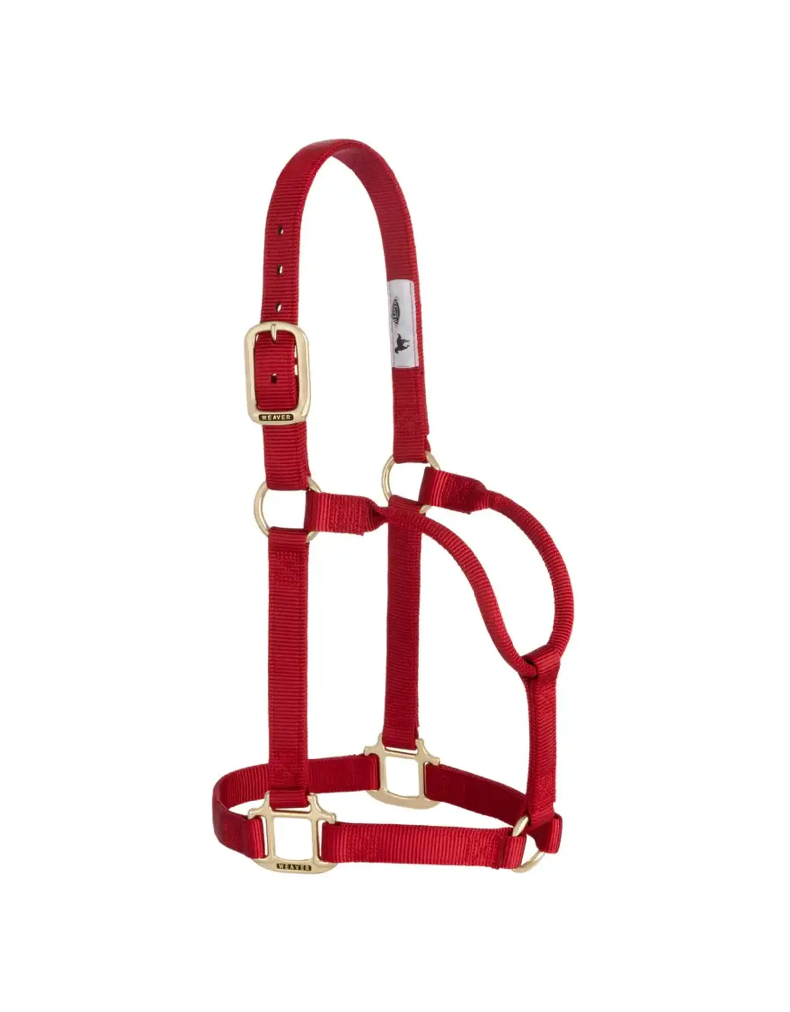 Basic Non-Adjustable 1" Halter - Average - 35-7405-RD