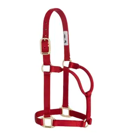 Basic Non-Adjustable 1" Halter - Average - 35-7405-RD