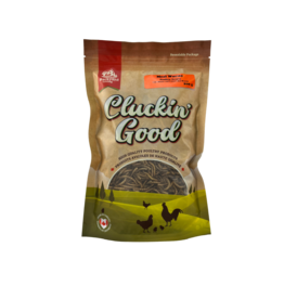 Cluckin Good Meal Worms Poultry Treats 2.3kg