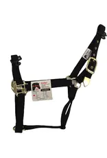 Hi-Brow Flat Nylon Halter - Yearling - Black - THB505Y-BK