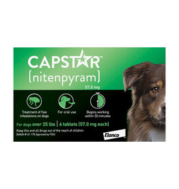 Capstar Fast Acting Oral Flea Treatment (Large Dog) - D830-67517