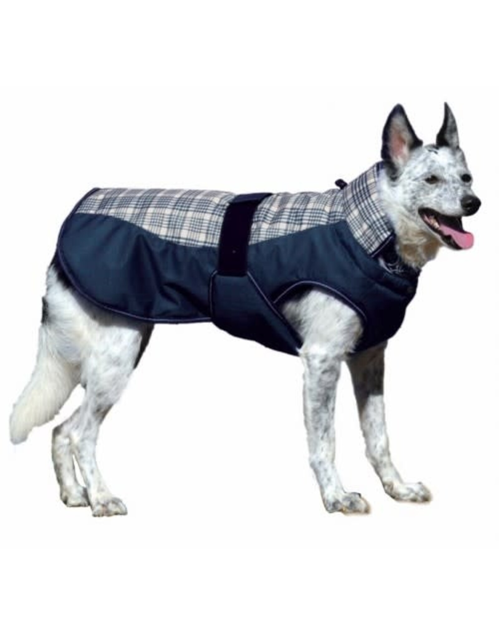 Century Tiger Deluxe Plaid Dog Coat - 600D - 200gm - 808107-45/14-Size24 - Special Order