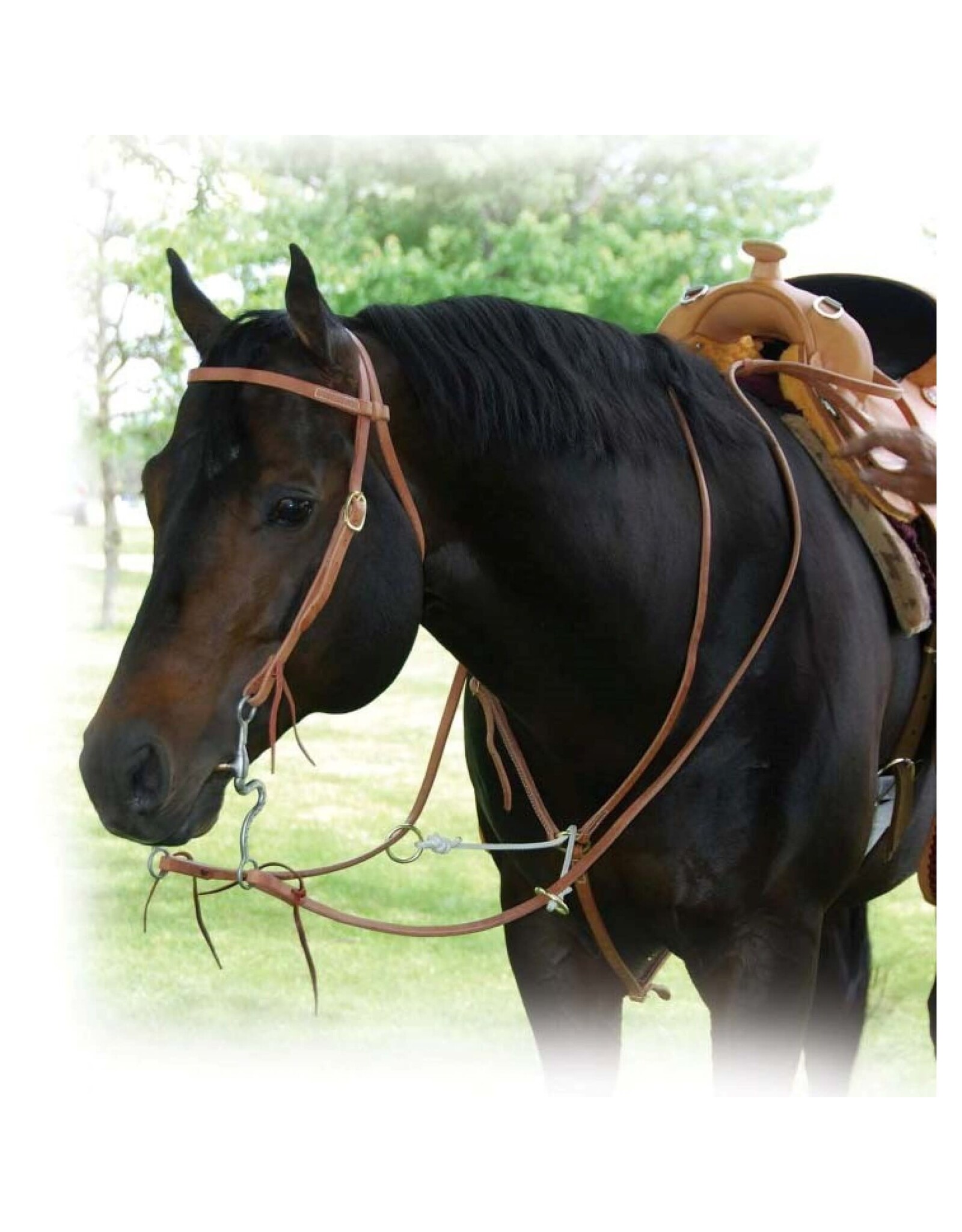 MARTINGALE - WESTERN RAWHIDE LEATHER SLIDING FORK MARTINGALE - 204156-55