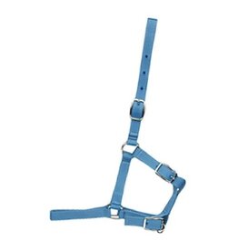 Foal Halter -  Baby Blue - 292980-20