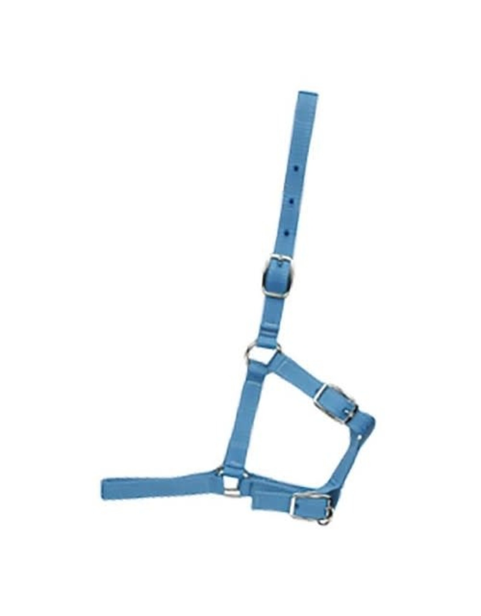 Foal Halter - Blue - 292980-40